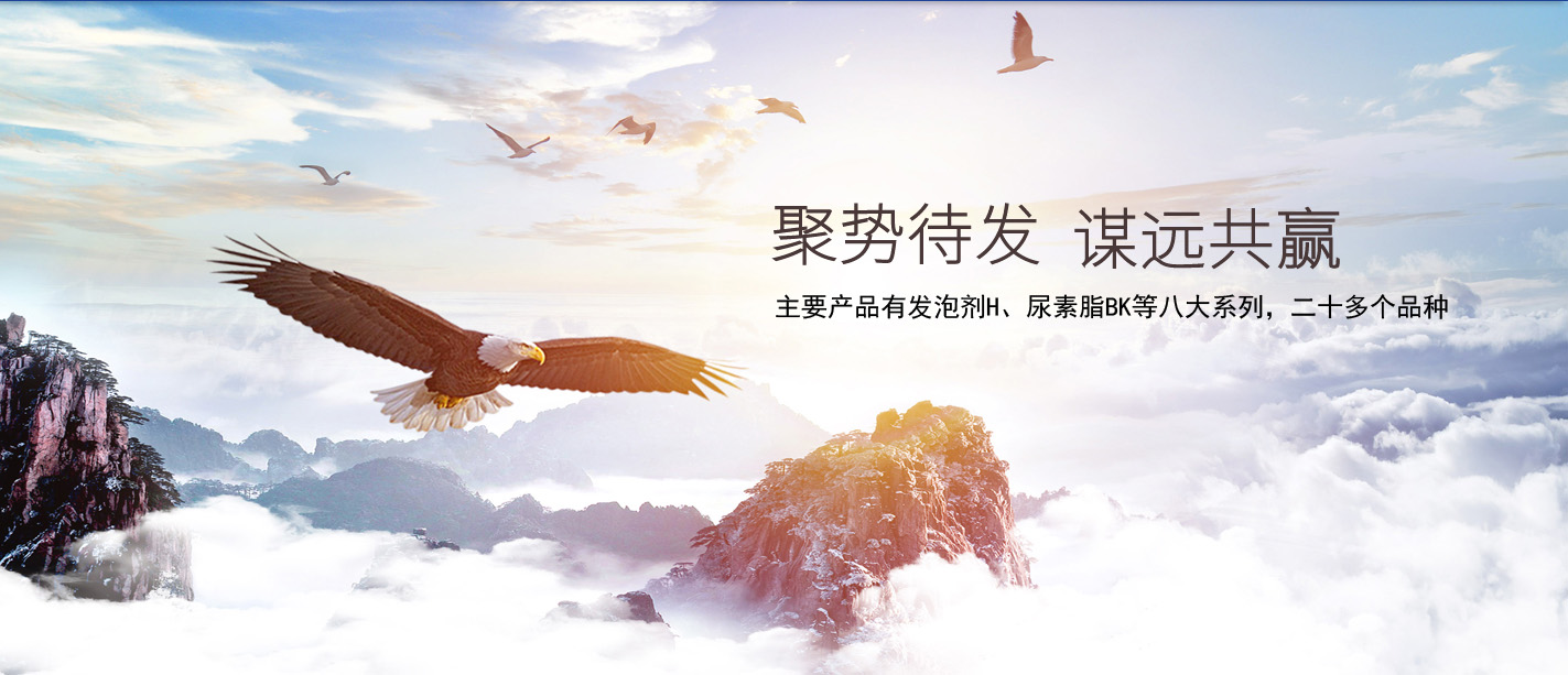 六安捷通達(dá)新材料有限公司